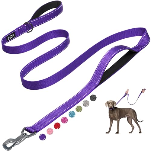 Heavy Duty Dog Leash for Medium Large Dogs (6 Feet (Pack of 1) / Purple)