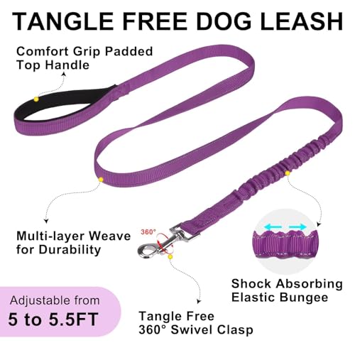 Small Dog Harness and Leash Set (Purple / S: Chest 17.5"-22")