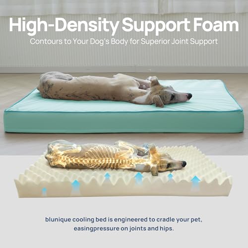 Cooling Dog Bed for Large Dogs (Light Aqua / 36''x27''x3'')
