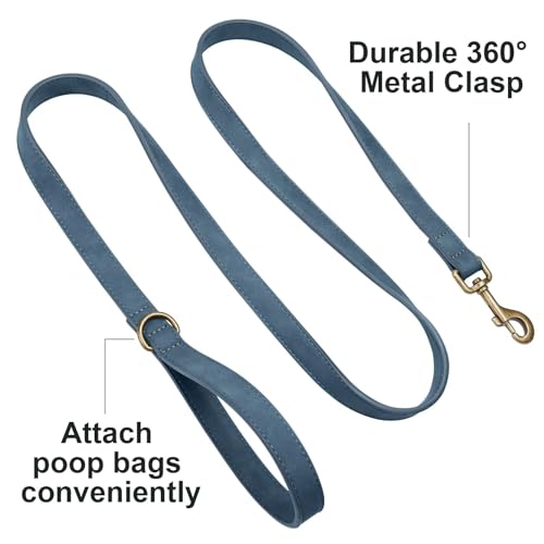 PU Leather Dog Leash for Small Dogs (Blue / 5/8''x 5FT)
