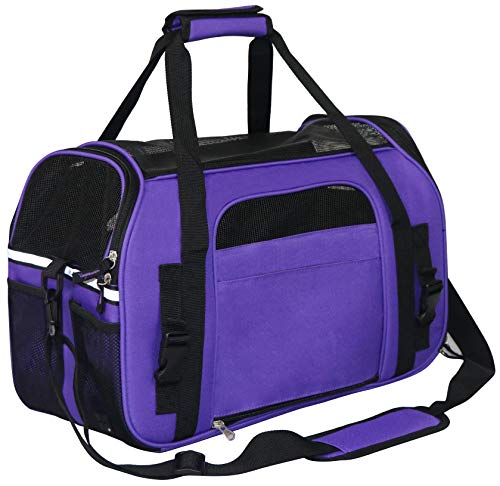 Soft Sided Pet Carrier for Cats & Small Dogs (21.0"L x 12.0"W x 13.0"H / Purple)