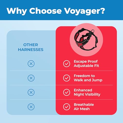 Voyager Escape (Black Trim-Red (327) / S (Chest: 15 - 18"))