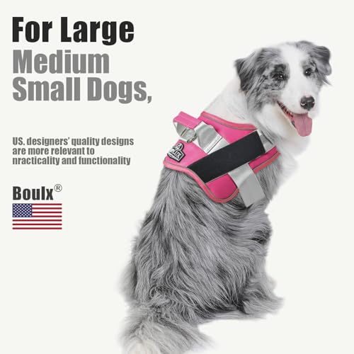 Dog Harness No (X-Large (Pack of 1) / Fuchsia)