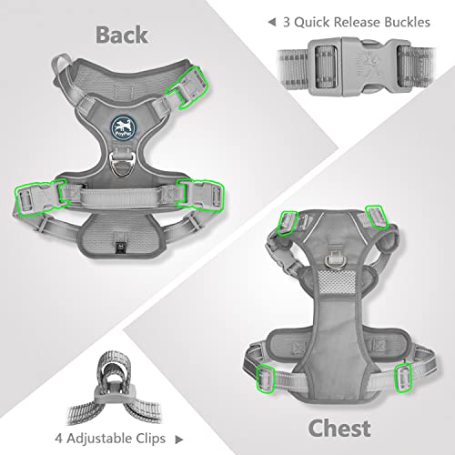 No Pull Dog Harness (L / Grey(Matching Trim))