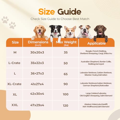 Orthopedic Dog Bed for Large Dog (Grey / 35"x22"x3")