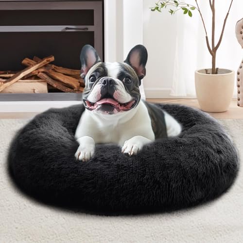 Calming Dog Bed for Small Dogs (Black / 23.0"L x 23.0"W x 8.0"Th)