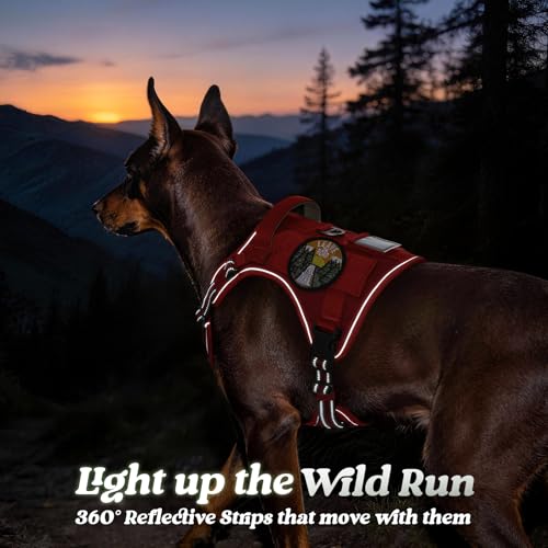 Tactical Dog Harness for Large Dogs (L(Chest:22"-37",Neck:21.1"-30.3",Back:8.3") / Red)