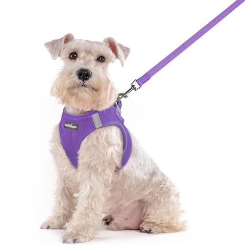 Dog Harness Medium Sized and Leash Set (Purple / Xxl (chest: 21.6 - 23.7"))