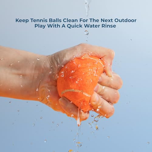 Interactive Squeaky Dog Chew Toy (Tennis (Assorted Color) / Large (Pack of 4))