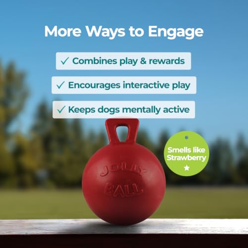 Tug-n-Toss Dog Toy Ball with Handle, 10" XL, Red (Red / XL (10 in))