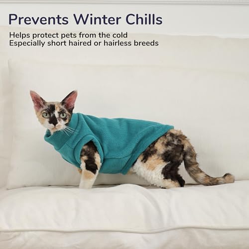 Cat Sweater Warm Kitten Clothes (Small / Blue)