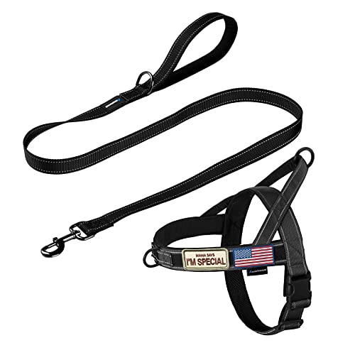 No Pull Dog Harness with Padded Handle+5 Ft Leash (M / Black Set)