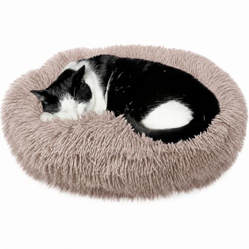 Cat Beds for Indoor Cats & Small Dog (Beige-Brown / 20.00" x 20.00" x 6.00")
