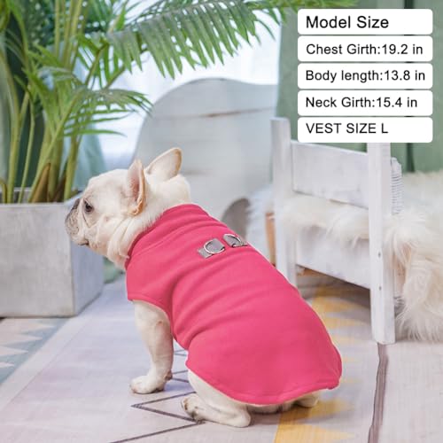Dog Fleece Vest Sweater Winter Jacket for Small and Medium Dogs with D (Small / ROSEO)