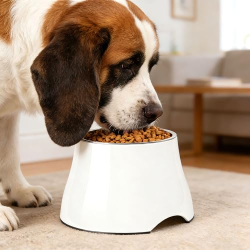 Dog Bowls Cone Friendly Non Slip Single Dog Bowl with Stainless Steel Inner (Medium(2 Cups) / White)