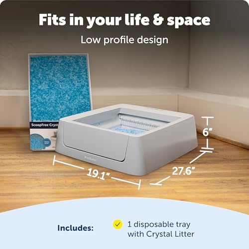 ScoopFree Complete Smart Self (Smart)