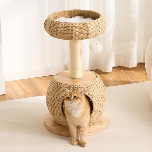 Modern Cat Tree for Indoor Small & Medium Cats (Natural-30")