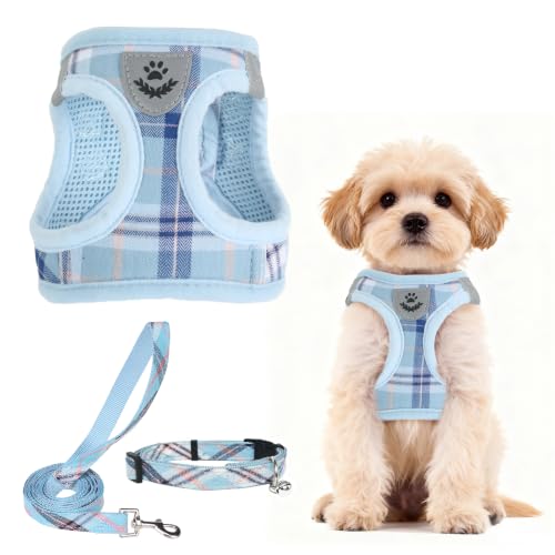 Dog Harness Collar and Leash Set No Pull for Small Medium Sized (Blue / S (CHEST 14.5"-16"))