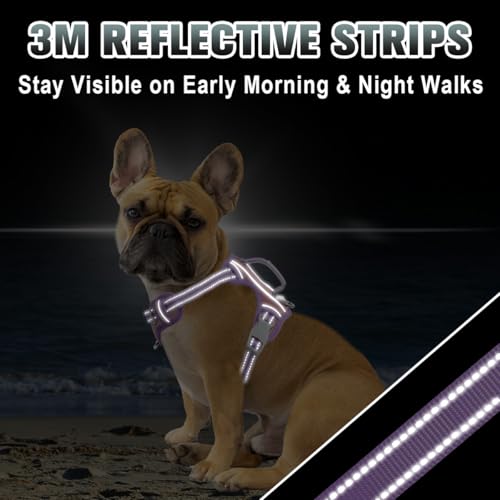 Dog Harness for Small Sized Dog No Pull Dog Vest ID Tag Pocket (Baby Pink & Violet Purple / X-Small)