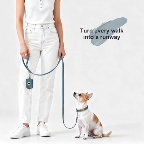 PU Leather Dog Leash for Small Dogs (Blue / 5/8''x 5FT)