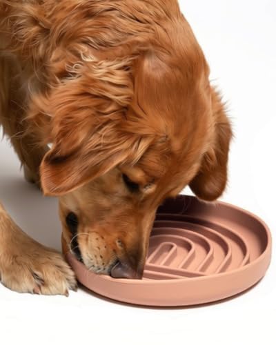 Slow Feeder Dog Bowl (Blush - Rainbow Design / Large (9.5” Across and 1.5” Tall))