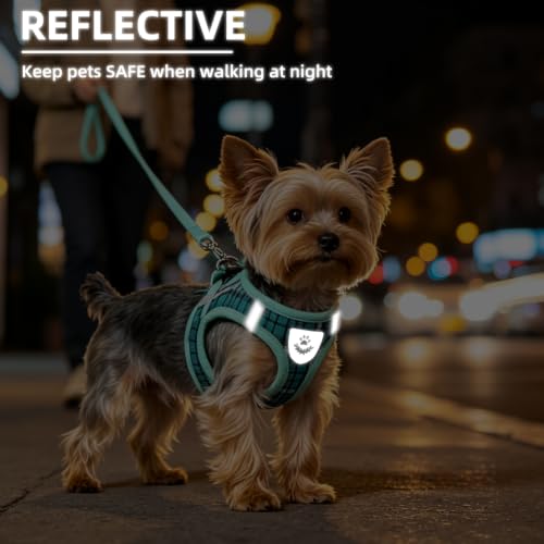 Dog Harness Collar and Leash Set No Pull for Small Medium Sized (Lake Green / XS (CHEST 13"-14.5"))