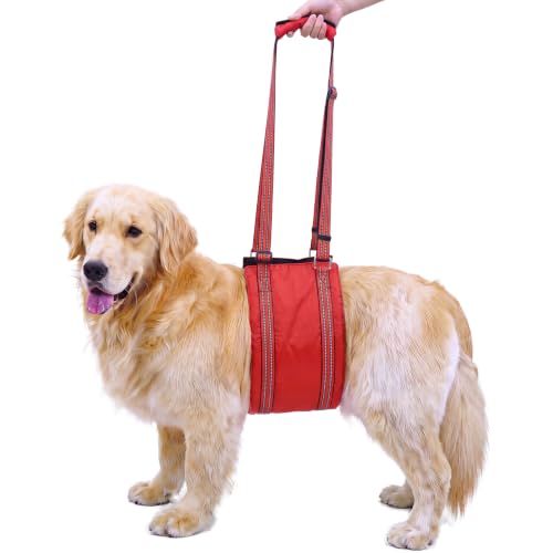 Adjustable Dog Lift Harness for Large Dogs (Red / L)