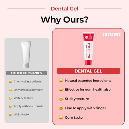 Dental Gel Dog Cat Toothpaste (Toothpaste / 1 Count (Pack of 1))