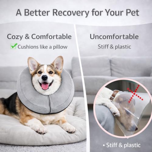 Inflatable Dog Cone Collar Alternative (Grey / XS [5"-8"])