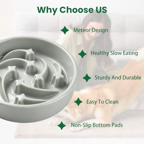 Slow Feeder Dog Bowls Anti (Grey)