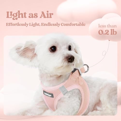Dog Harness Medium Sized and Leash Set (Pink / Xxl (chest: 21.6 - 23.7"))