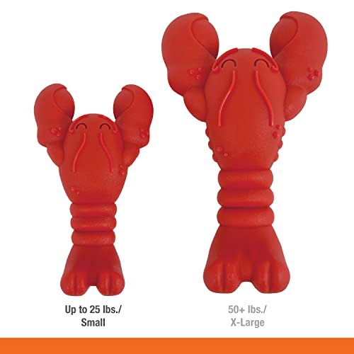 Lobster Power Chew Toy for Dogs (Lobster 1 Pack / Small)