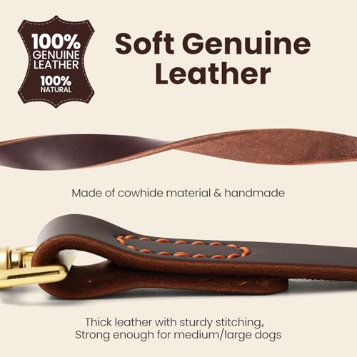 Leather Dog Leash (1.0 ft L x 0.75 in W)