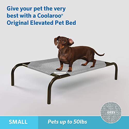 Original Elevated Dog Bed (Small Dog Bed / Grey)
