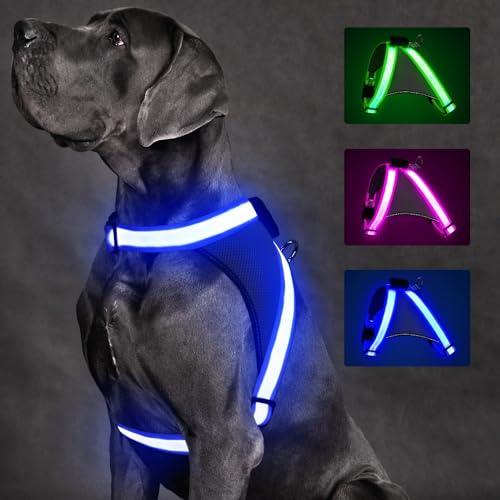 Light Up Dog Harness (Large / Blue)