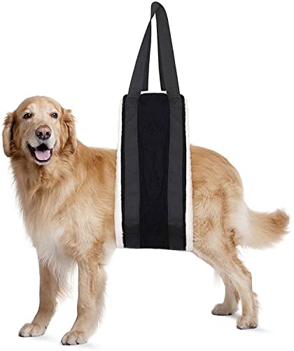 20 150lb Dog Sling for Large Dogs Hind Leg Support (Black)