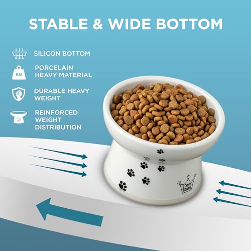 Necoichi Ceramic Elevated Cat Food Bowl (Cat / Regular)