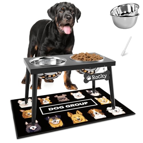 Metal Raised Dog Bowl Stand for Large and Medium Dogs (Height-10inch / Black-L)
