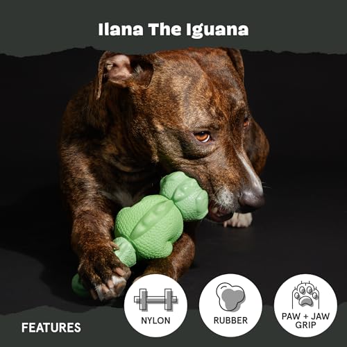 Ilana the Iguana Super Chewer (Medium/Large / Illana the Iguana)