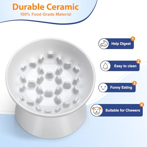 Ceramic Slow Feeder Cat Bowl (White-Honeycomb / 2 Cups)