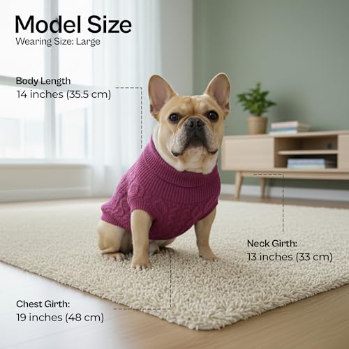 Cable Knit' Warm & Stylish Pet Sweater in Raspberry for Dogs & Cats (XL / Cable Knit Raspberry)