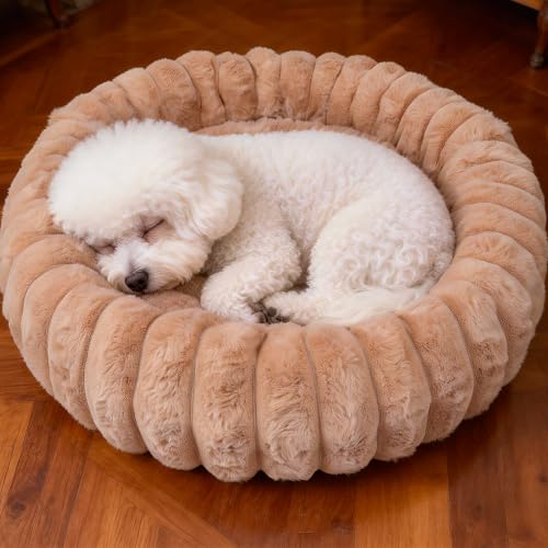 Donut Small Dog Bed Round Calming Kitten & Puppy Bed (Brown / XS(20*20*6))