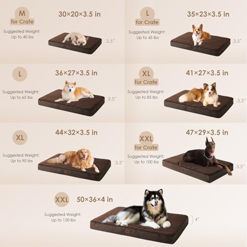 Orthopedic Dog Bed Large with Removable Washable Cover (35*23*3.5 inches / Brown)