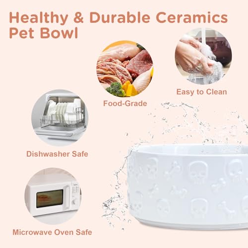 Elevated Dog Bowls Ceramic (7.3 in - 5.3 cups / White - Skull)