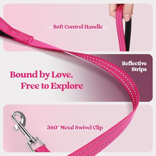 Dog Harness Small Sized and Leash Set (Rose Red / Xxxs (chest: 10.8 - 11.8"))