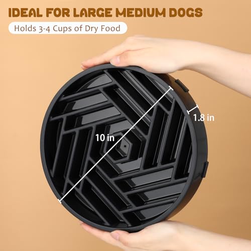 Slow Feeder Dog Bowl (black)