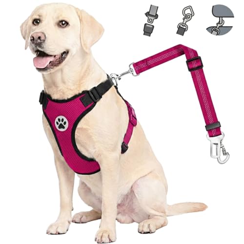 Dog Car Harness Seat Belt (Small / Rose)