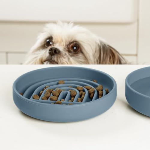 Slow Feeder Dog Bowl (Ocean - Rainbow Design / Small (6” Across x 1.25” Tall))