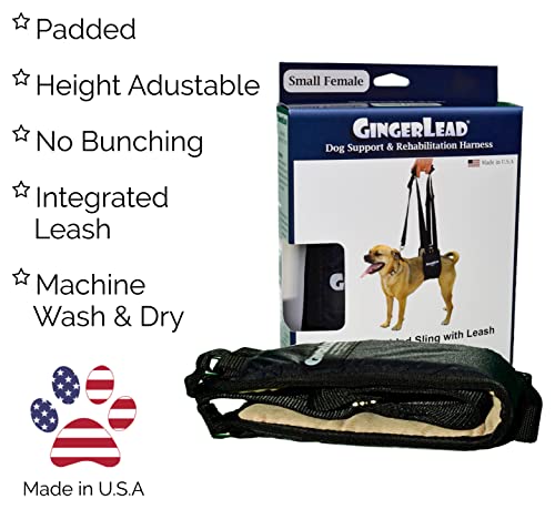 Dog Rear Sling Support Harness (Small - Female)