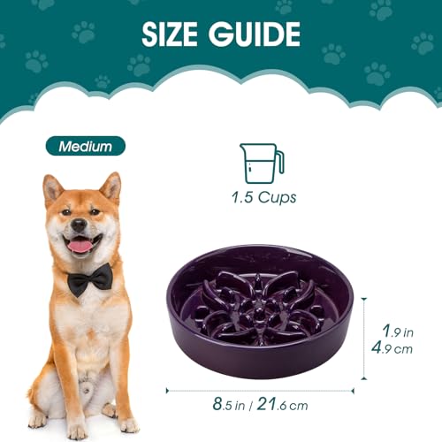 Ceramic Slow Feeder Dog Bowls (M-1.5 Cups / Purple)